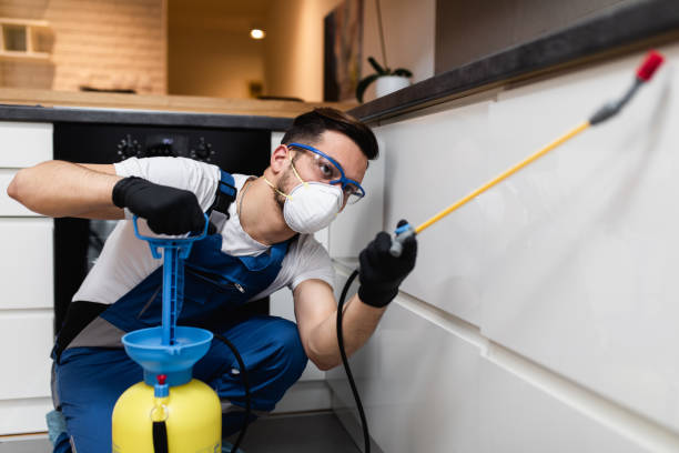 Reliable Harriman, TN Pest Control Solutions