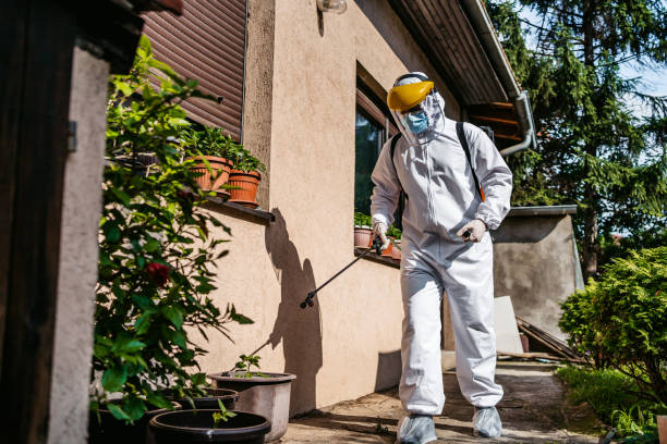Best Local Pest Control Services  in Harriman, TN