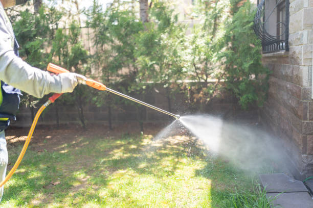 Best Cockroach Control Services  in Harriman, TN
