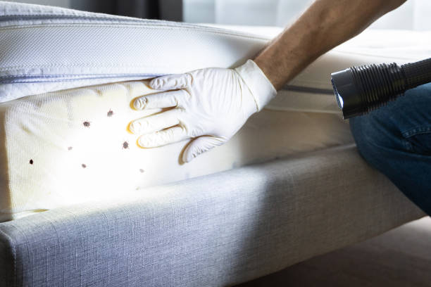 Best Pest Control Treatment  in Harriman, TN