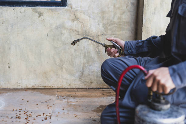 Best Commercial Pest Control Services  in Harriman, TN